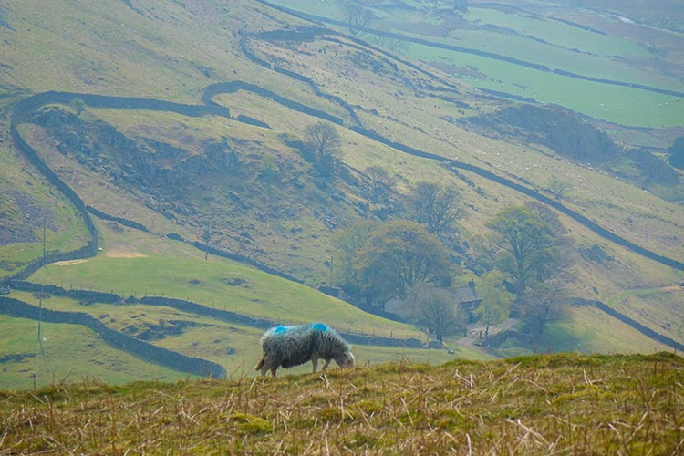 Lake District Cumbria (2)