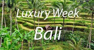 luxuy-week-bali-300