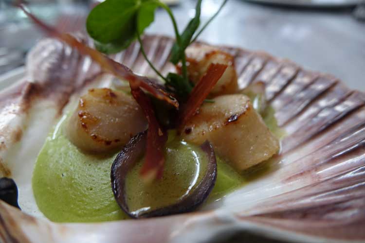 jansz-restaurant-amsterdam-dover-scallop-3