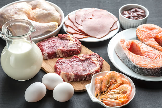Protein