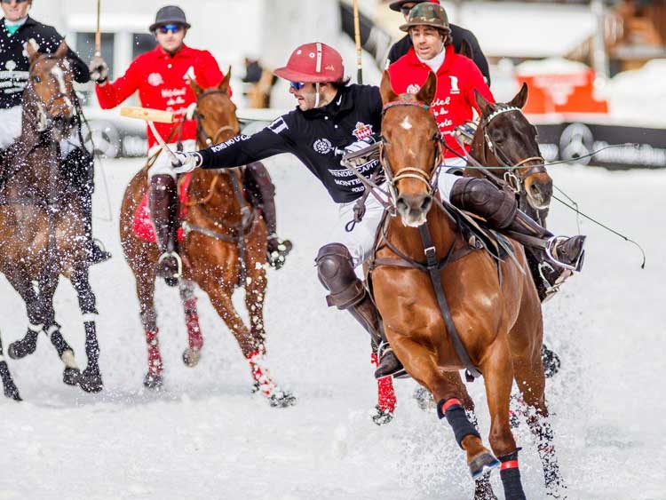Cortina Italy – Polo In The Snow