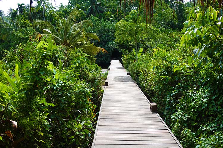 Jetwing Kurulubedda Eco Boutique Hotel – Galle Sri Lanka