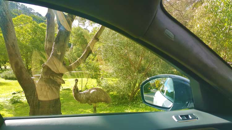 Jaguar F-Pace S V6 Diesel – Driven Down Under