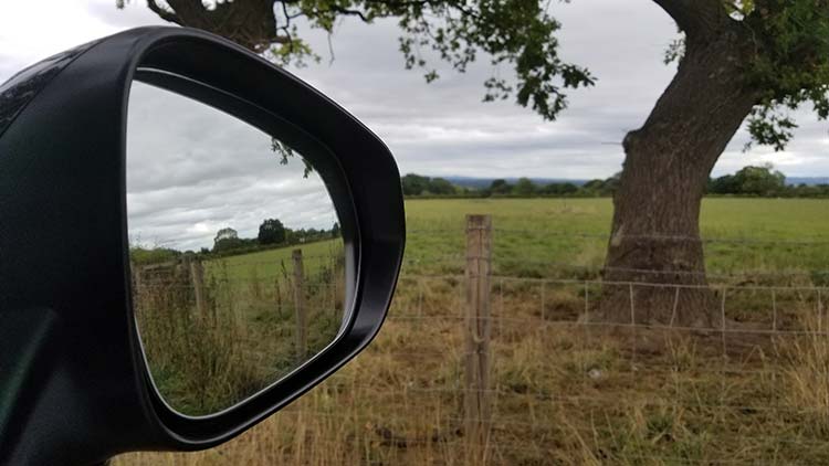 RX450h Hybrid F Sport mirror