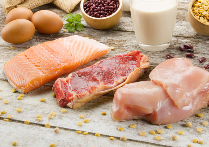 Meat fish protein sources