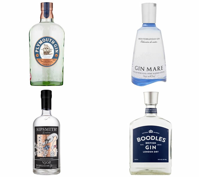 The best gins for a martini