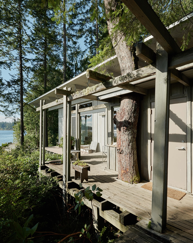 Cabin at Longbranch