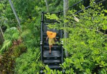 Four Seasons Koh Samui – Nature, Stillness, And A Proper Reset